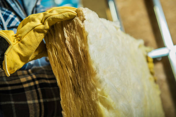 Best Spray Foam Insulation  in Forsyth, MT