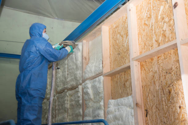 Best Professional Insulation Contractor  in Forsyth, MT