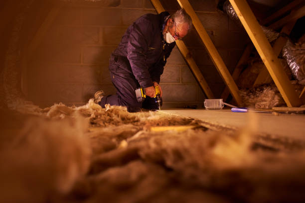 Best Home Insulation Services  in Forsyth, MT